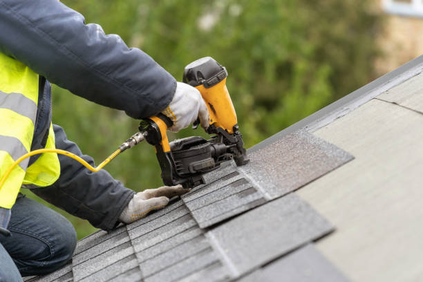 Best Roof Maintenance and Cleaning  in Weston, WV